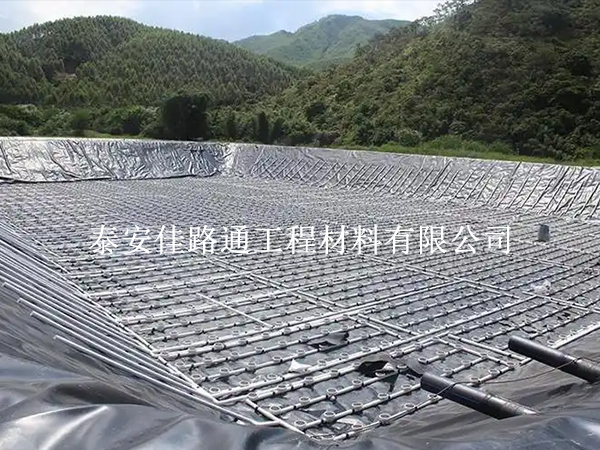 水產養(yǎng)殖新寵：防滲土工膜帶來革命性變革